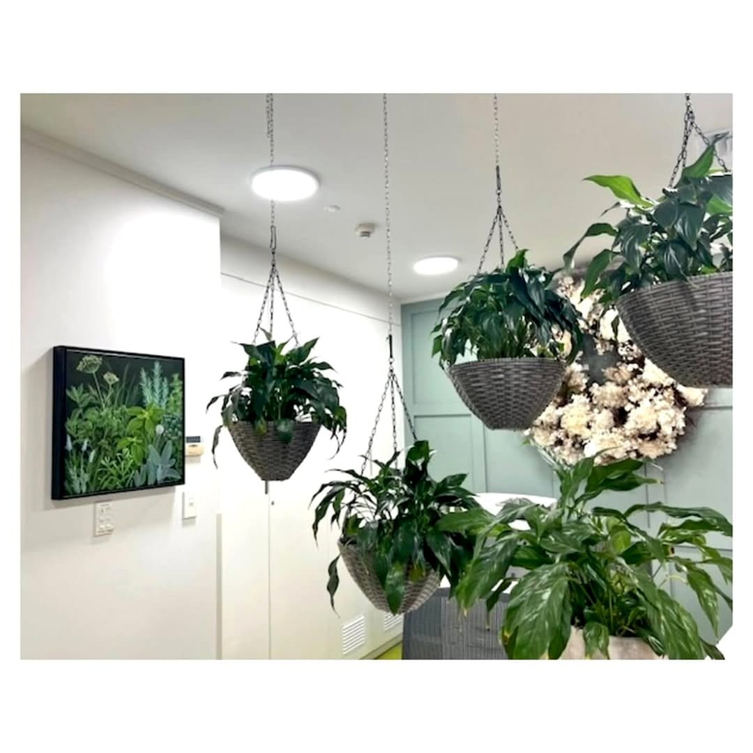 framed herb wall art