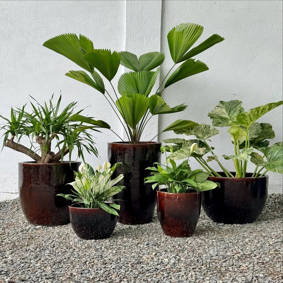 Shiny silver metallic plant pots