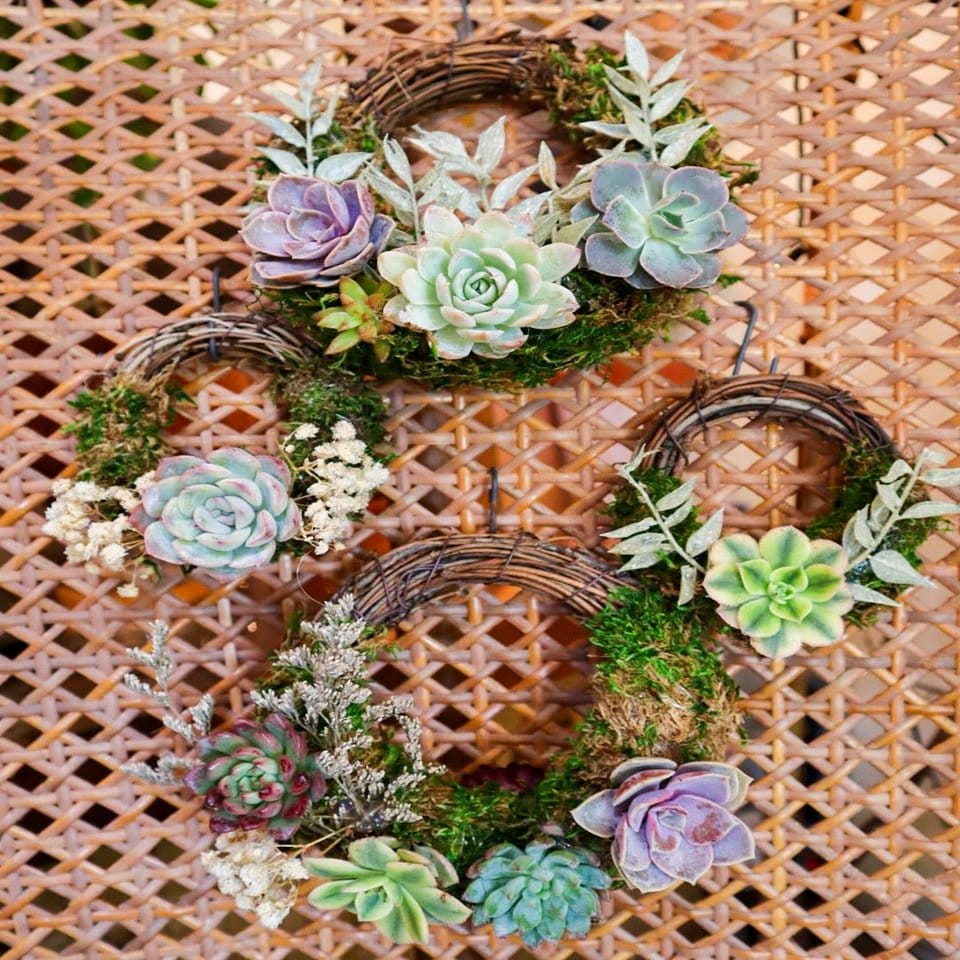 Artistic framed plant wall with succulents