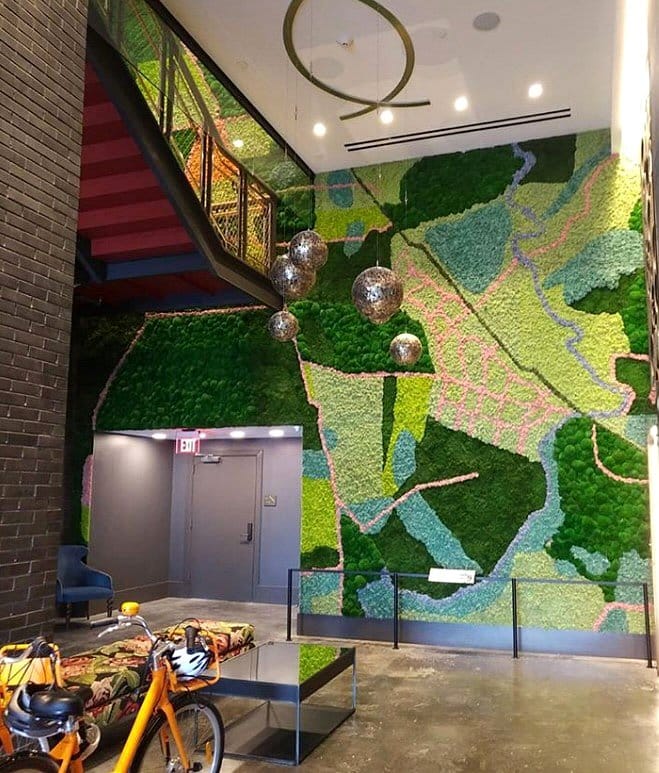 colorful moss wall design
