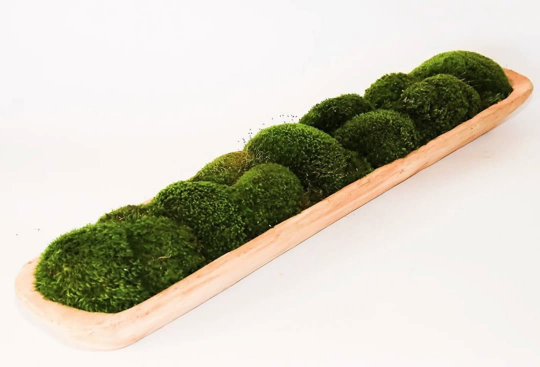 wooden tray with moss