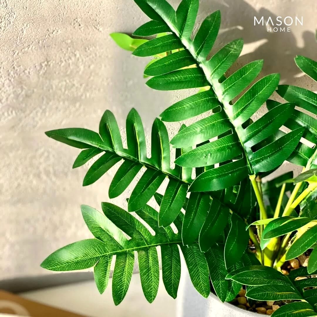 ferns in bathroom shelf