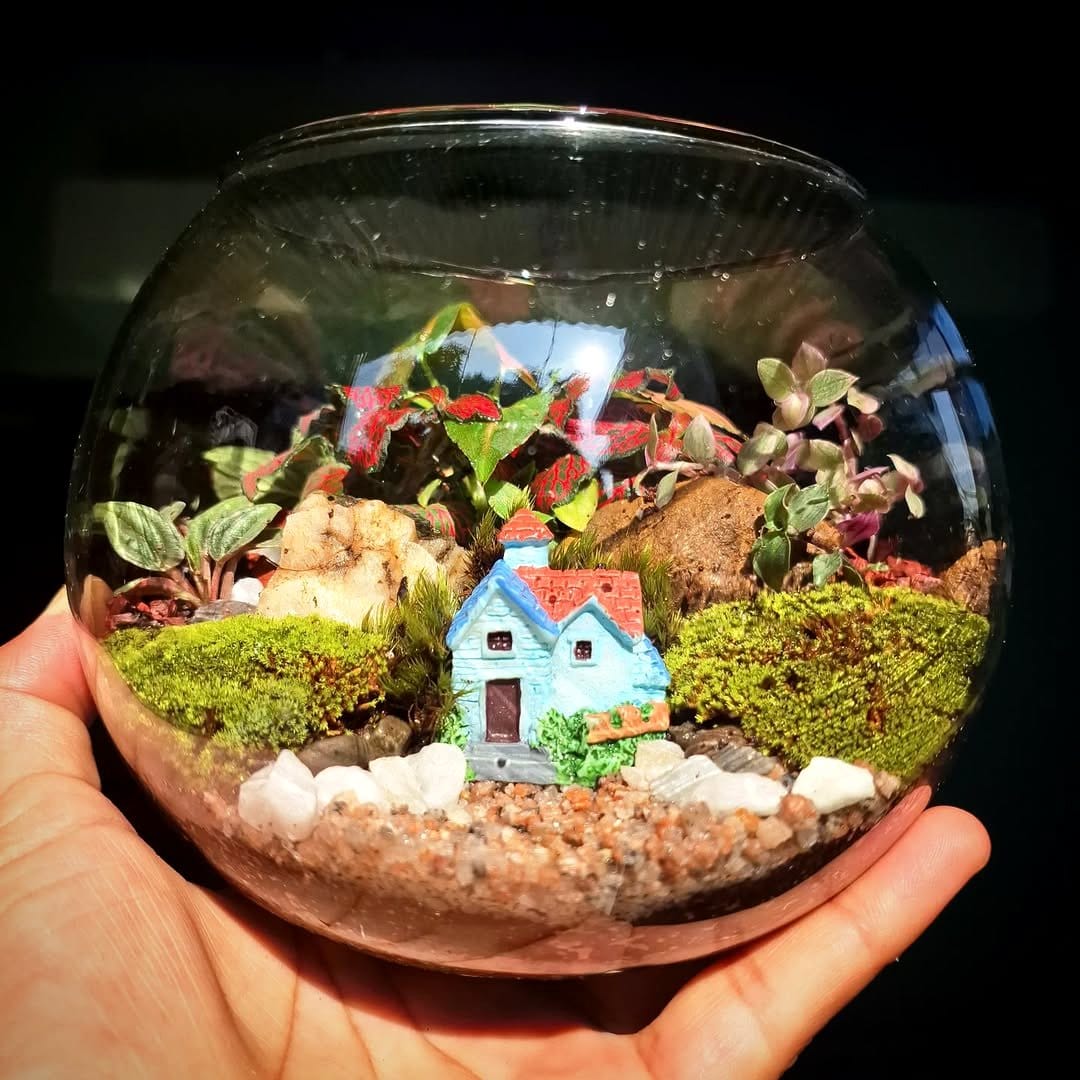 Peperomia and Fittonia in glass terrarium