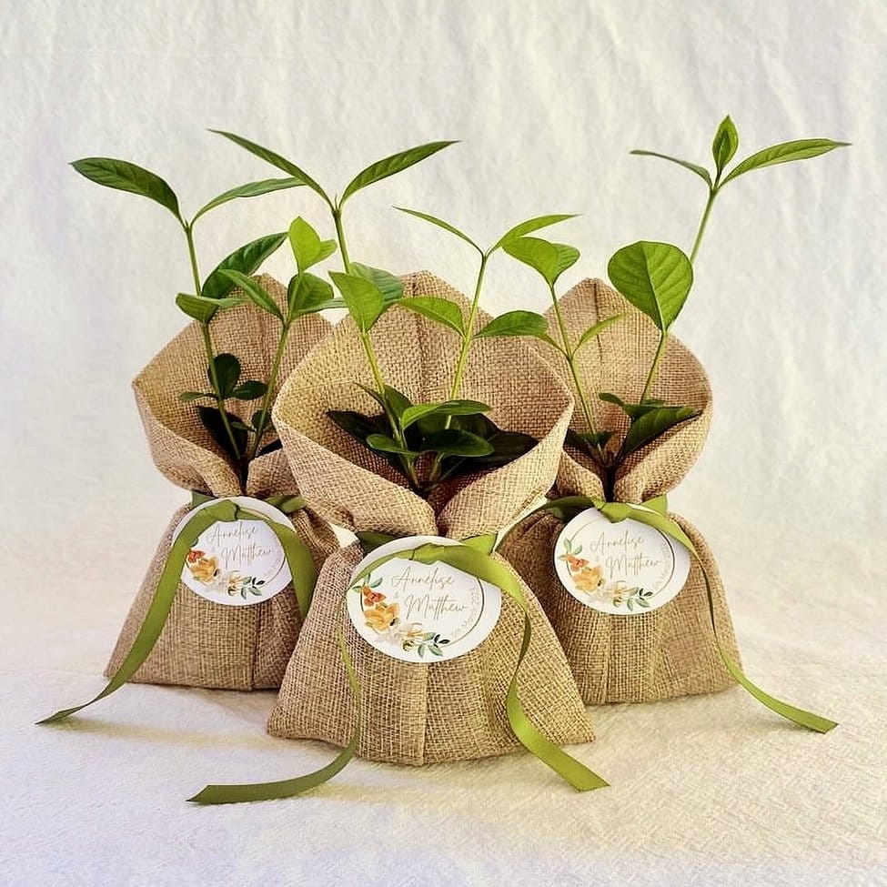 Burlap wrapped pot with herbs