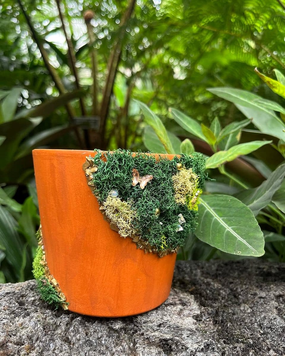 decorated tree stump plant holder