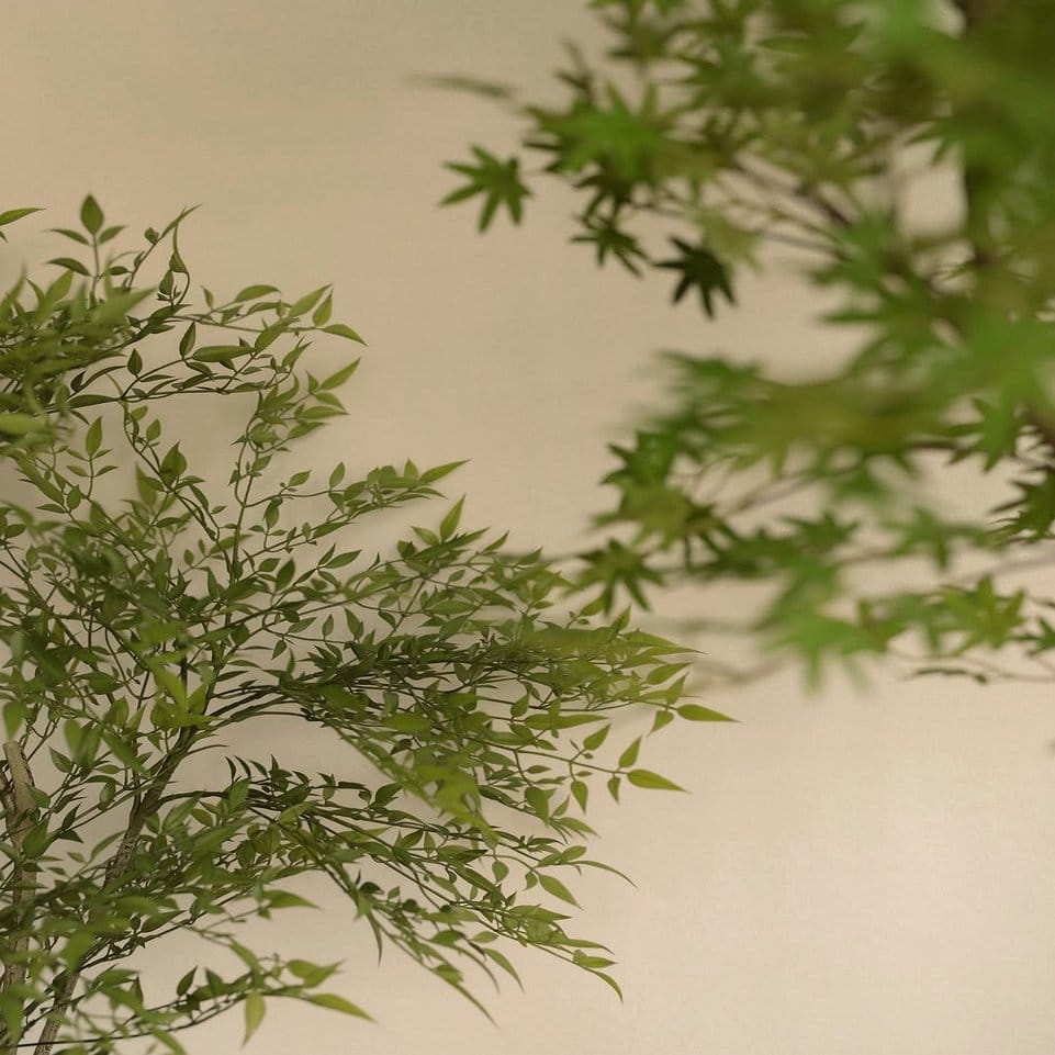 DIY wooden crate plant display