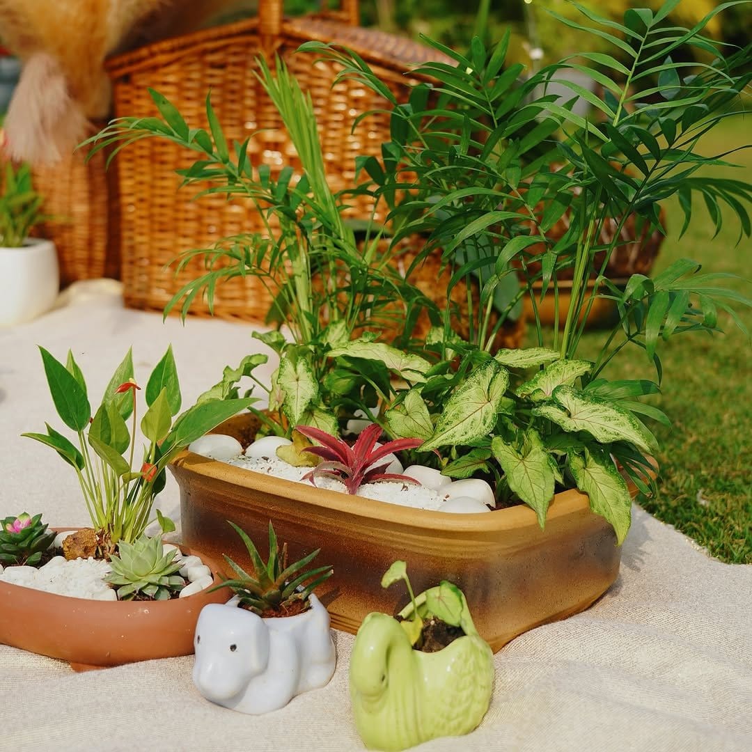 Sculpted bonsai in elegant pot