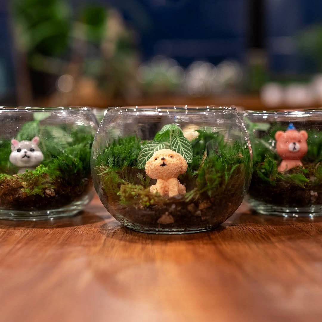 tiny figurines in terrarium