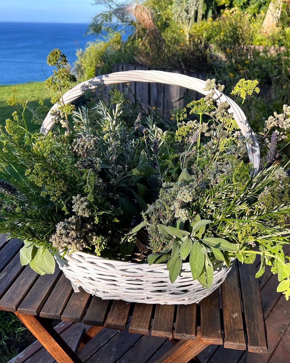 fresh herbs in kitchen