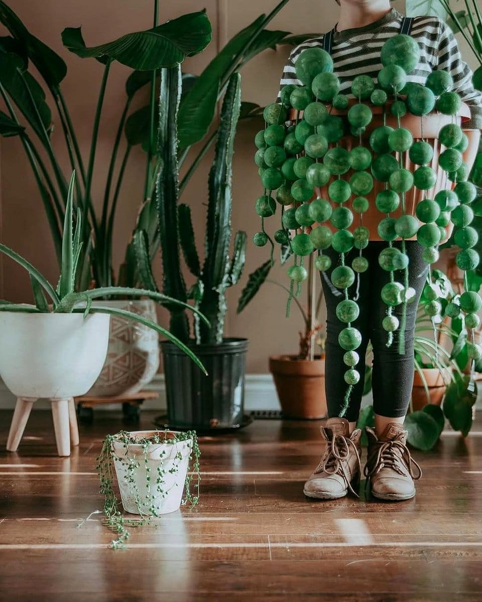 string of pearls in bedroom
