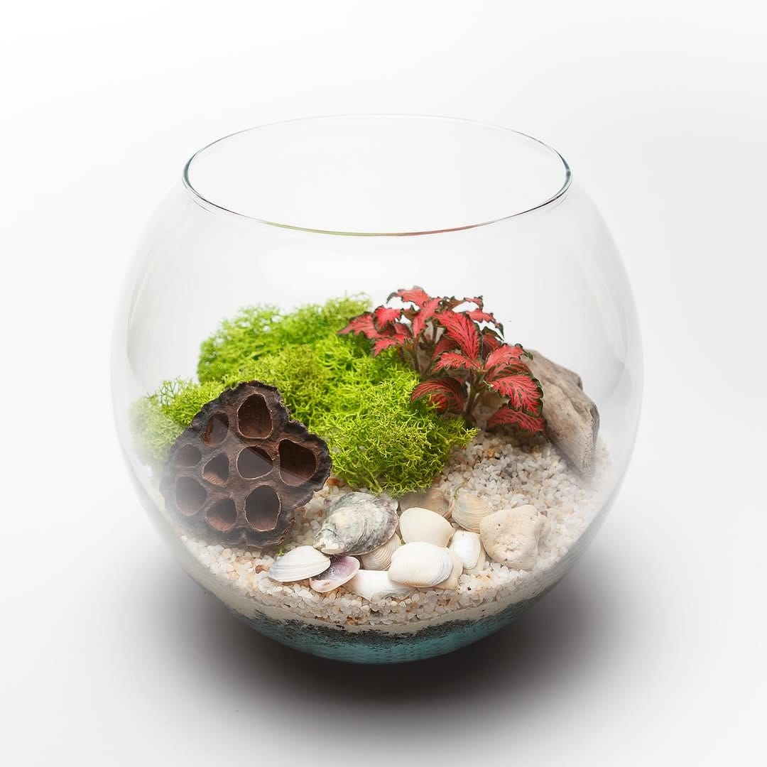 coastal decor with terrarium centerpiece
