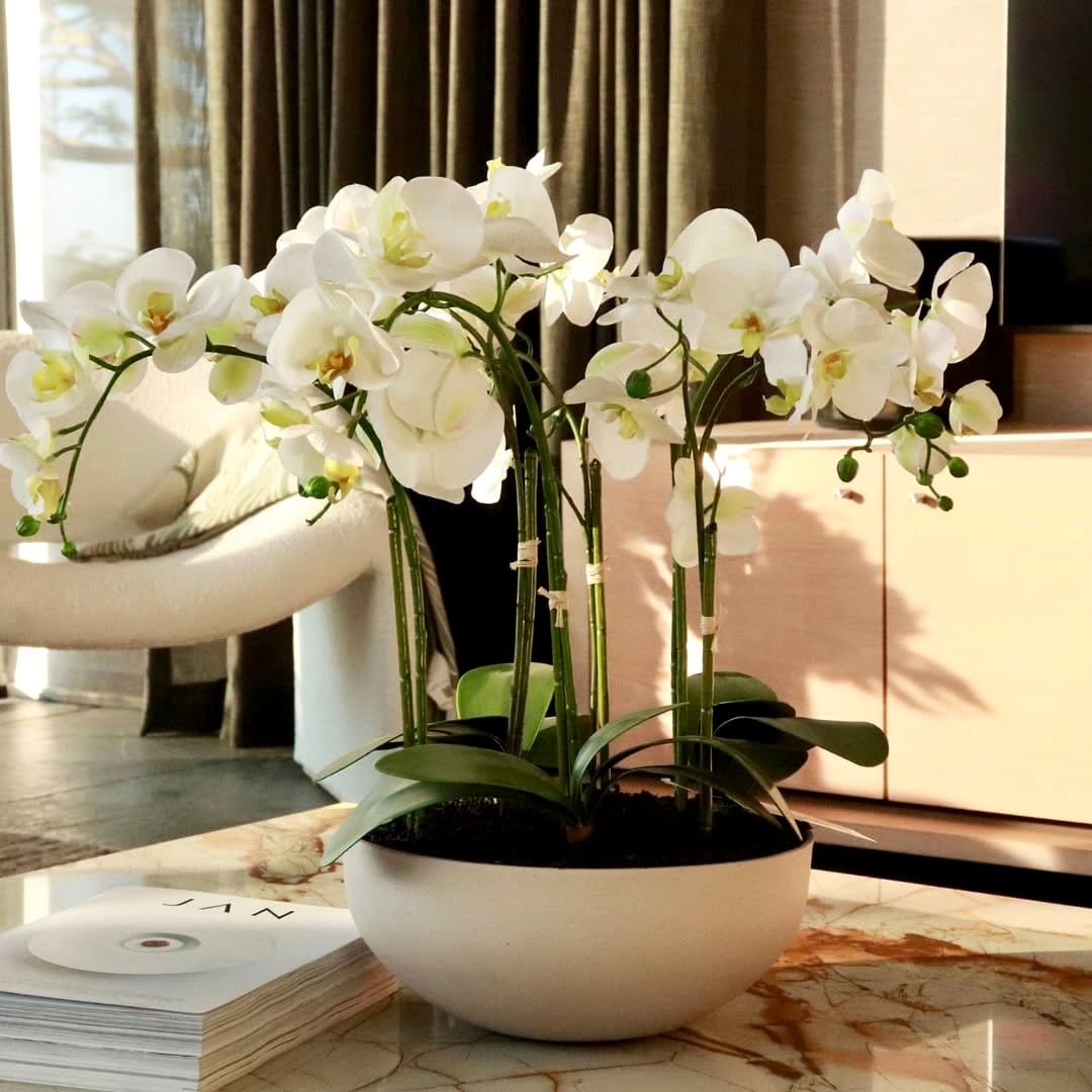 elegant orchid arrangement