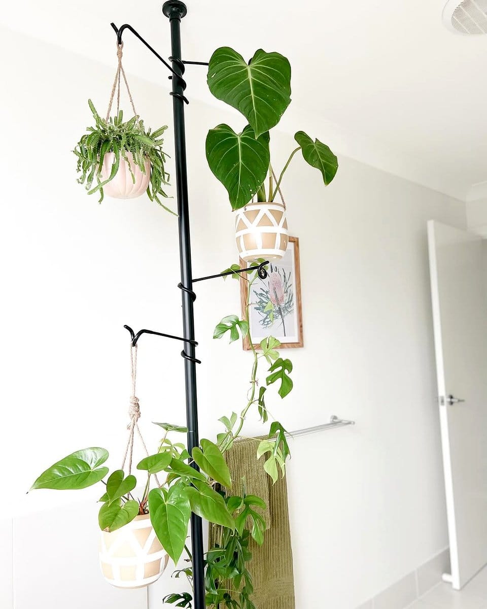scandinavian tripod plant stand with rubber plant