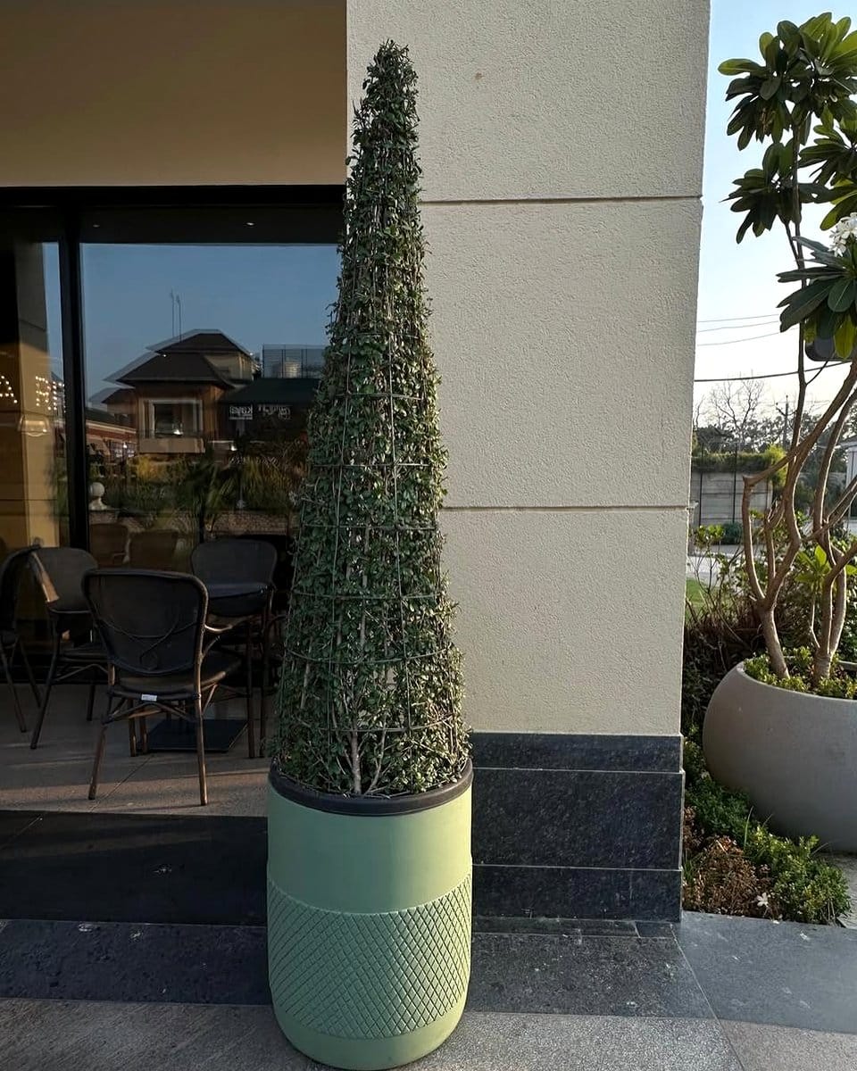 cylindrical concrete planter on balcony