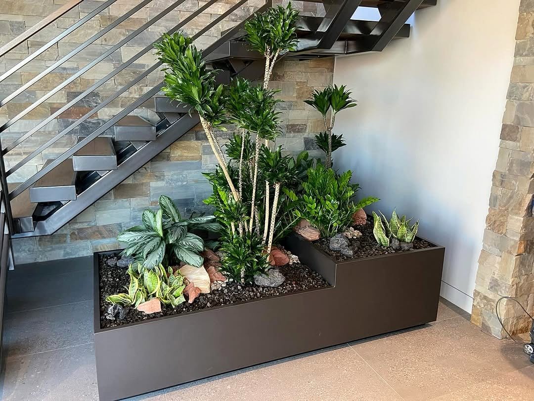 zz plant in modern planter