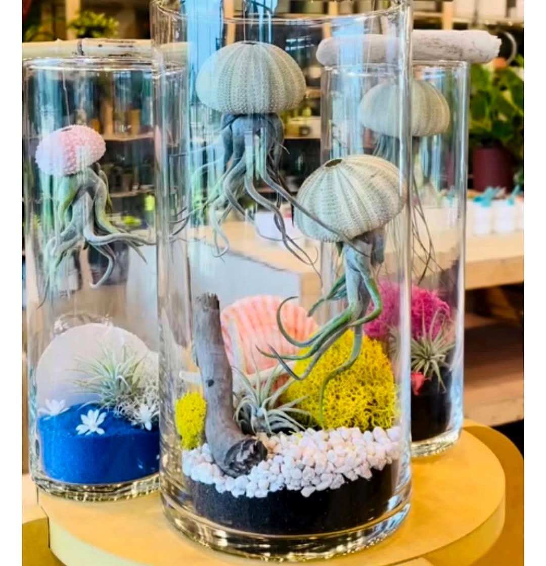 misting terrarium with spray bottle