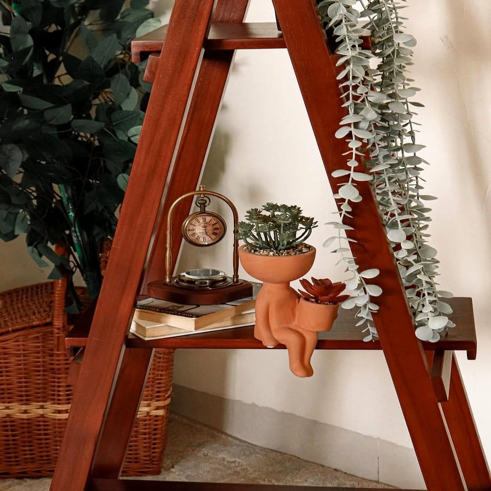Vintage wooden ladder with colorful potted plants