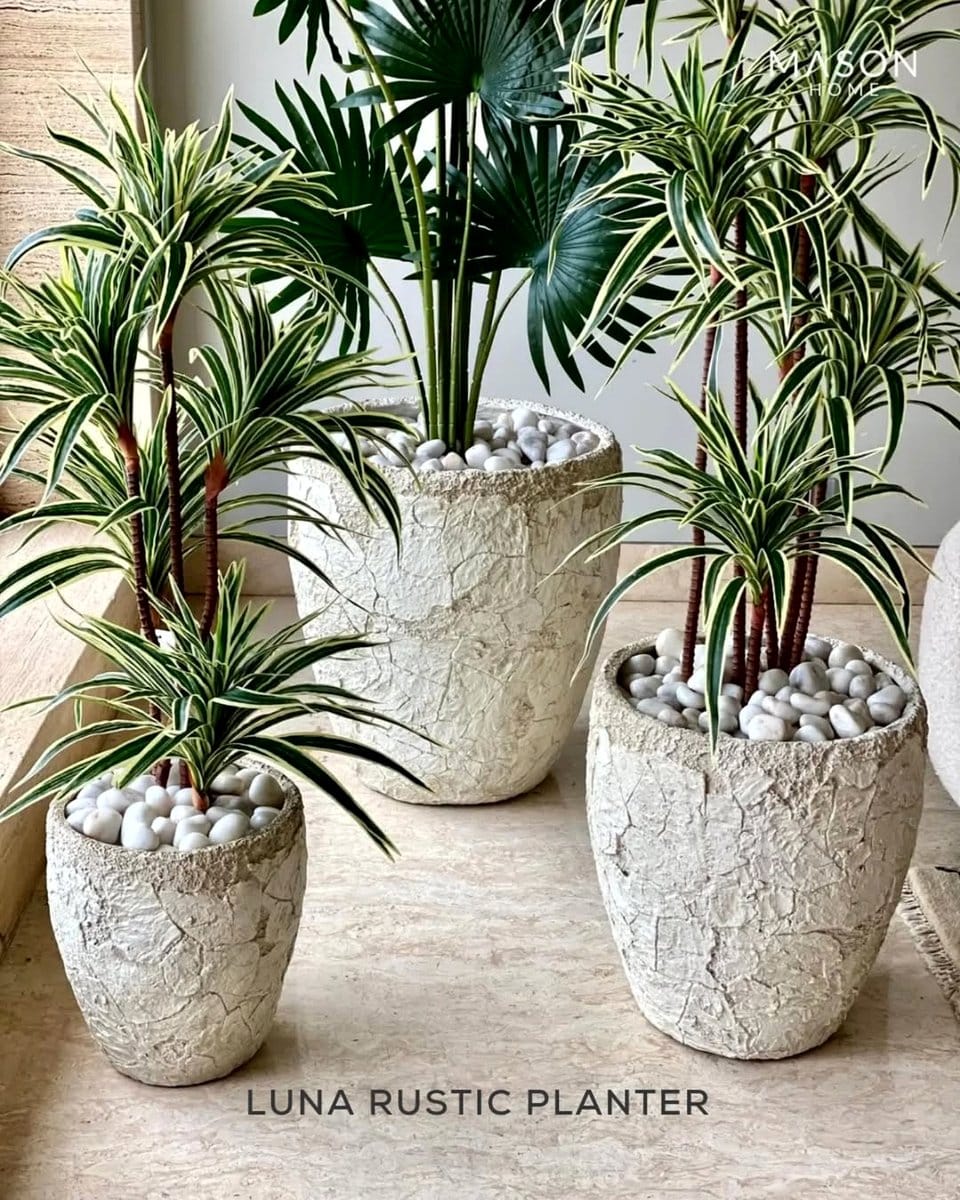 Indoor rustic planters with greenery