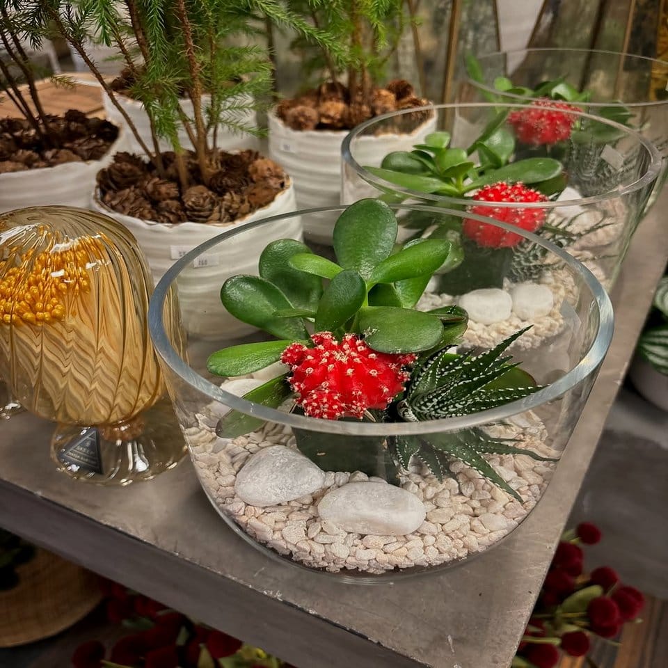 Holiday-themed glass terrarium with pine cones and berries