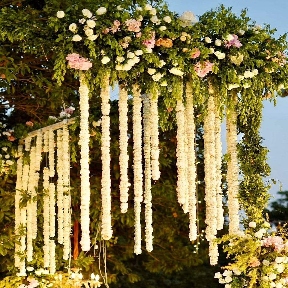 Chandeliers adorned with hanging plants