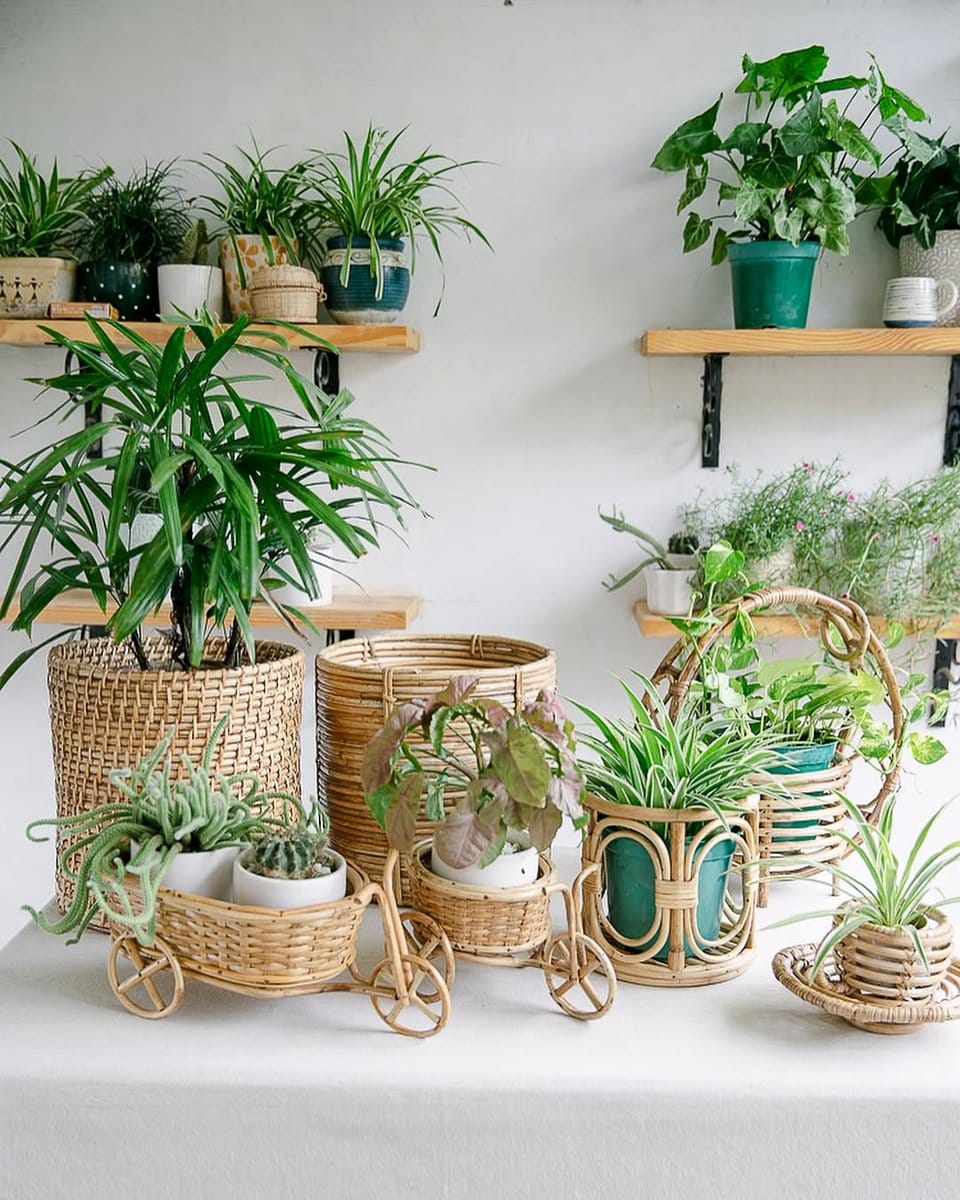 wicker and bamboo plant pots
