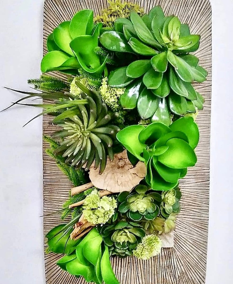 framed succulent wall art