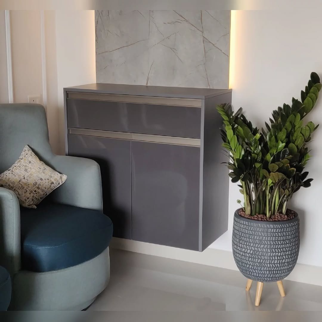 Glossy ZZ plant in modern black planter