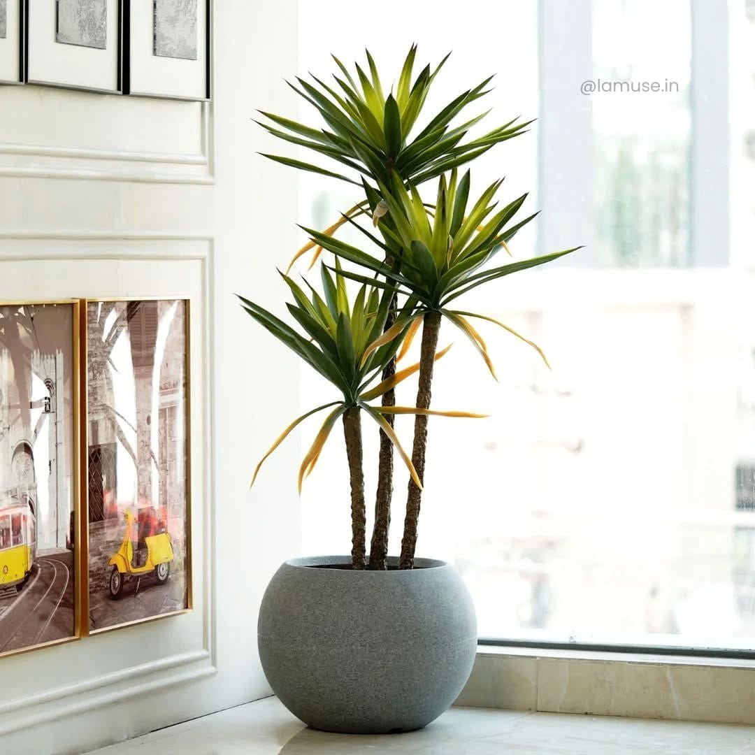 gradient pots in a room corner