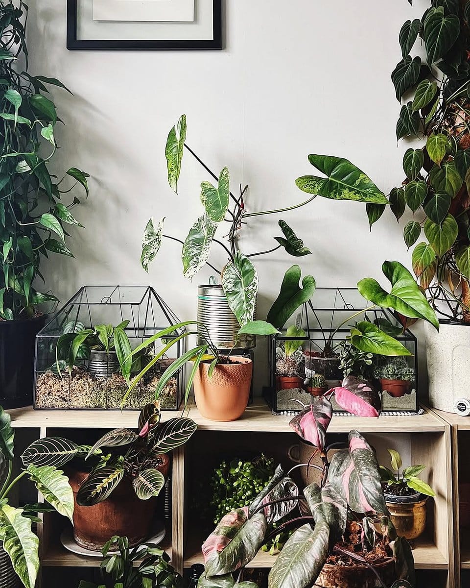 rolling plant wall with tropical plants