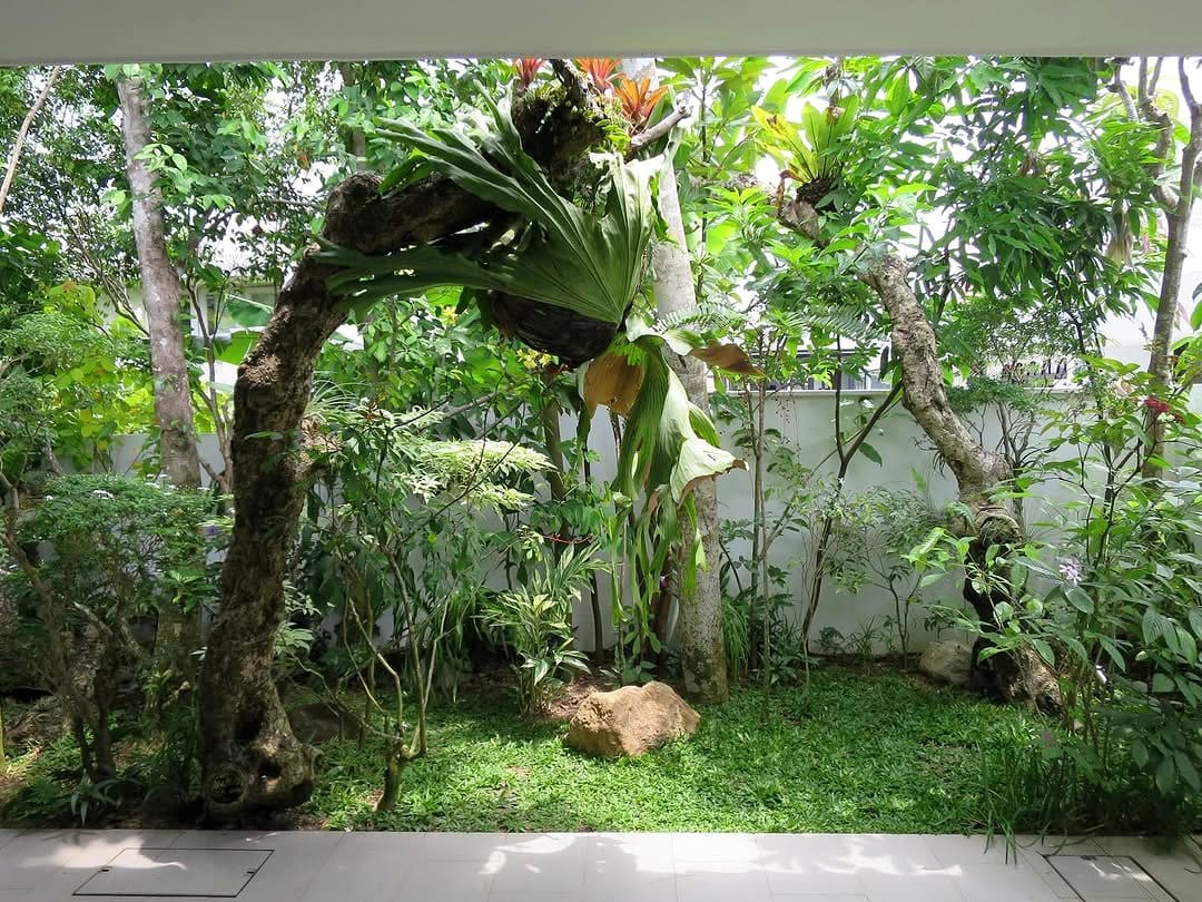 zen garden with plant shadows
