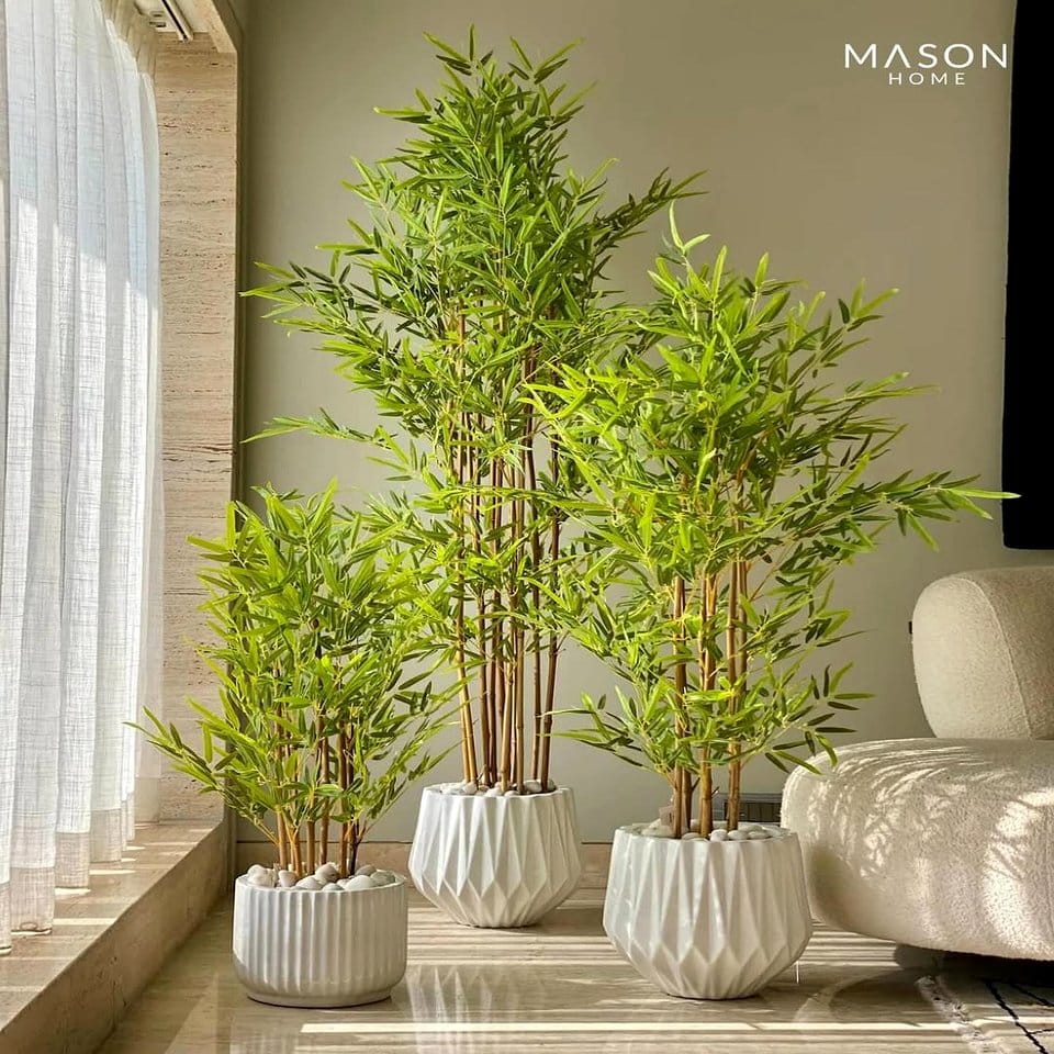 Stylish bamboo screen with potted plants