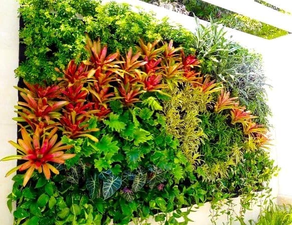 Symmetrical vertical garden with varied plants