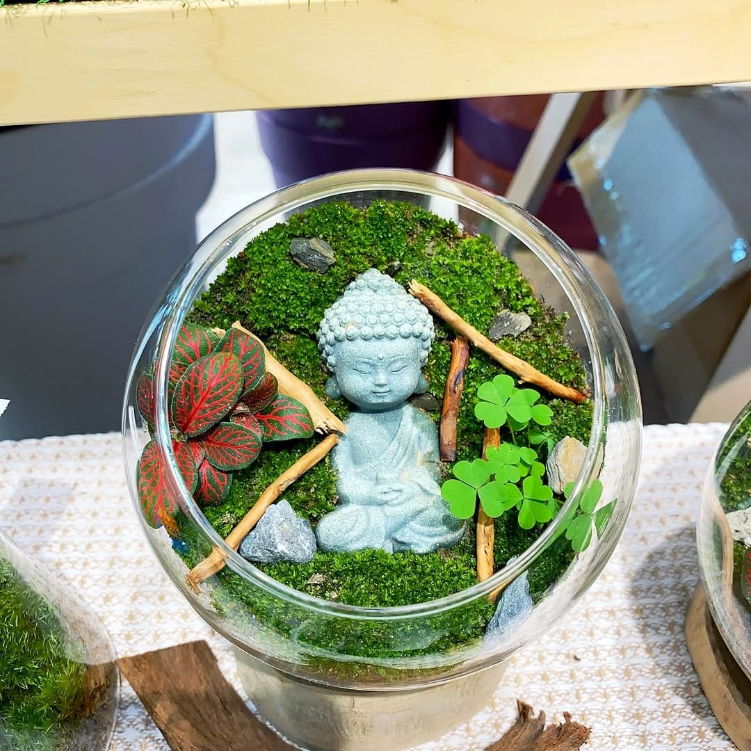 glass terrarium partition with succulents