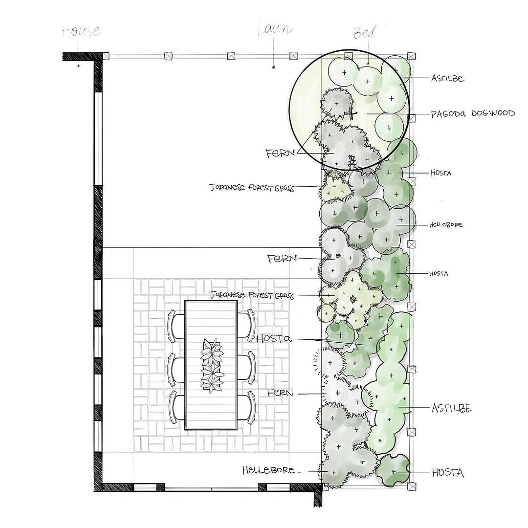 garden planner with plant sketches