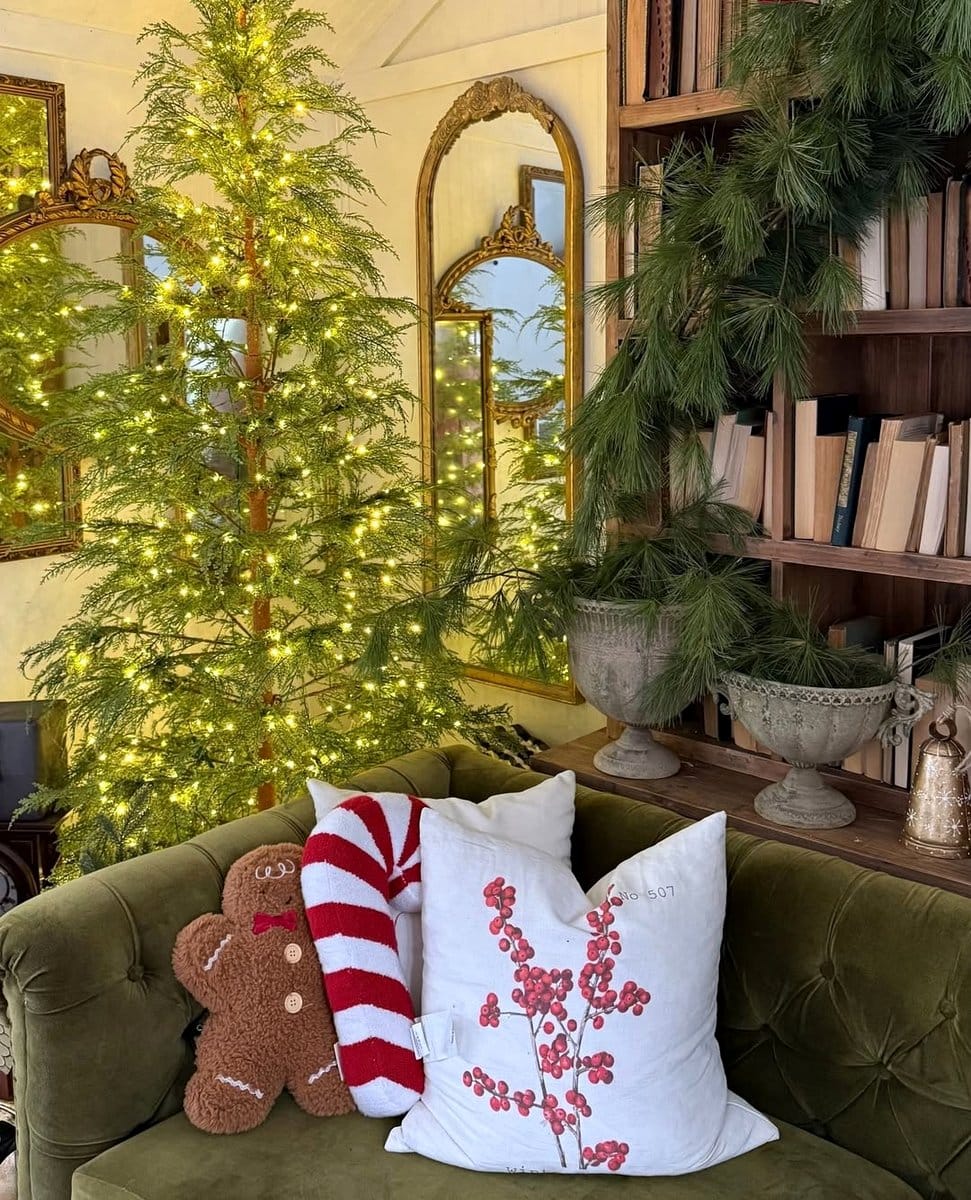 reflective mirror behind plants