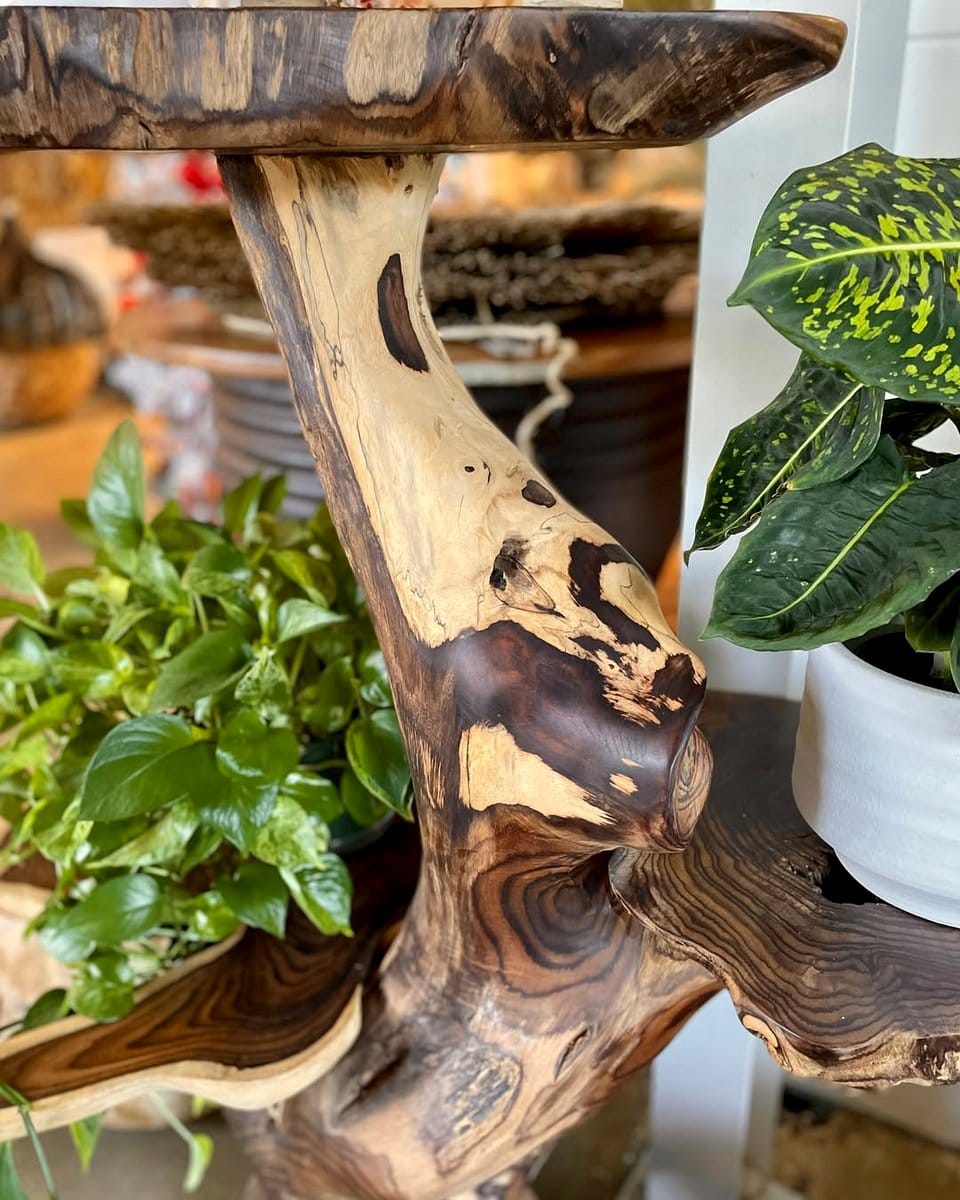 dracaena plant on a side table