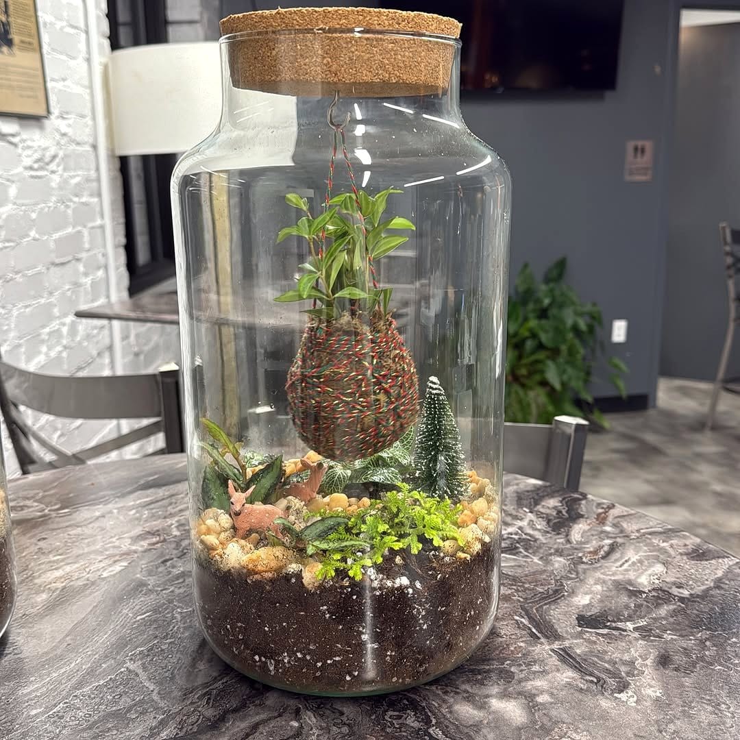 glass terrarium with thyme and sage