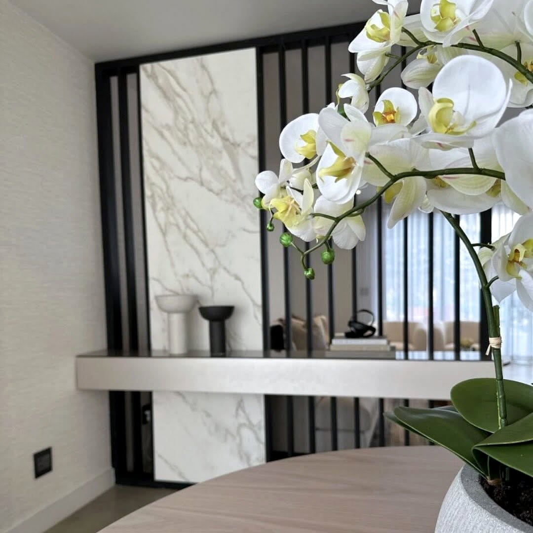 single orchid on sleek side table