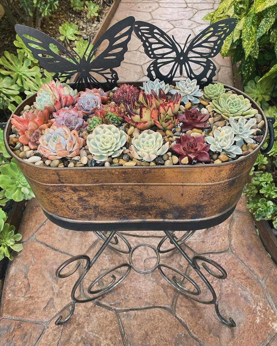 hollowed log planter with succulents