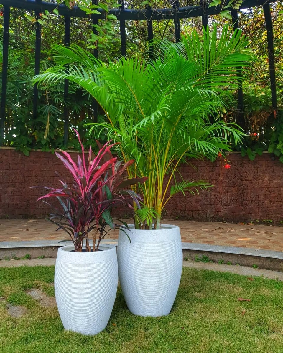 indoor-outdoor plant shelf with mixed foliage