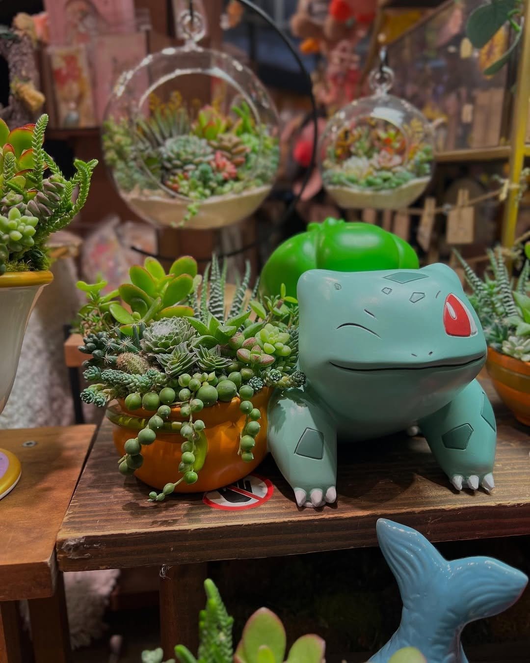 Minimalist succulent in geometric planter