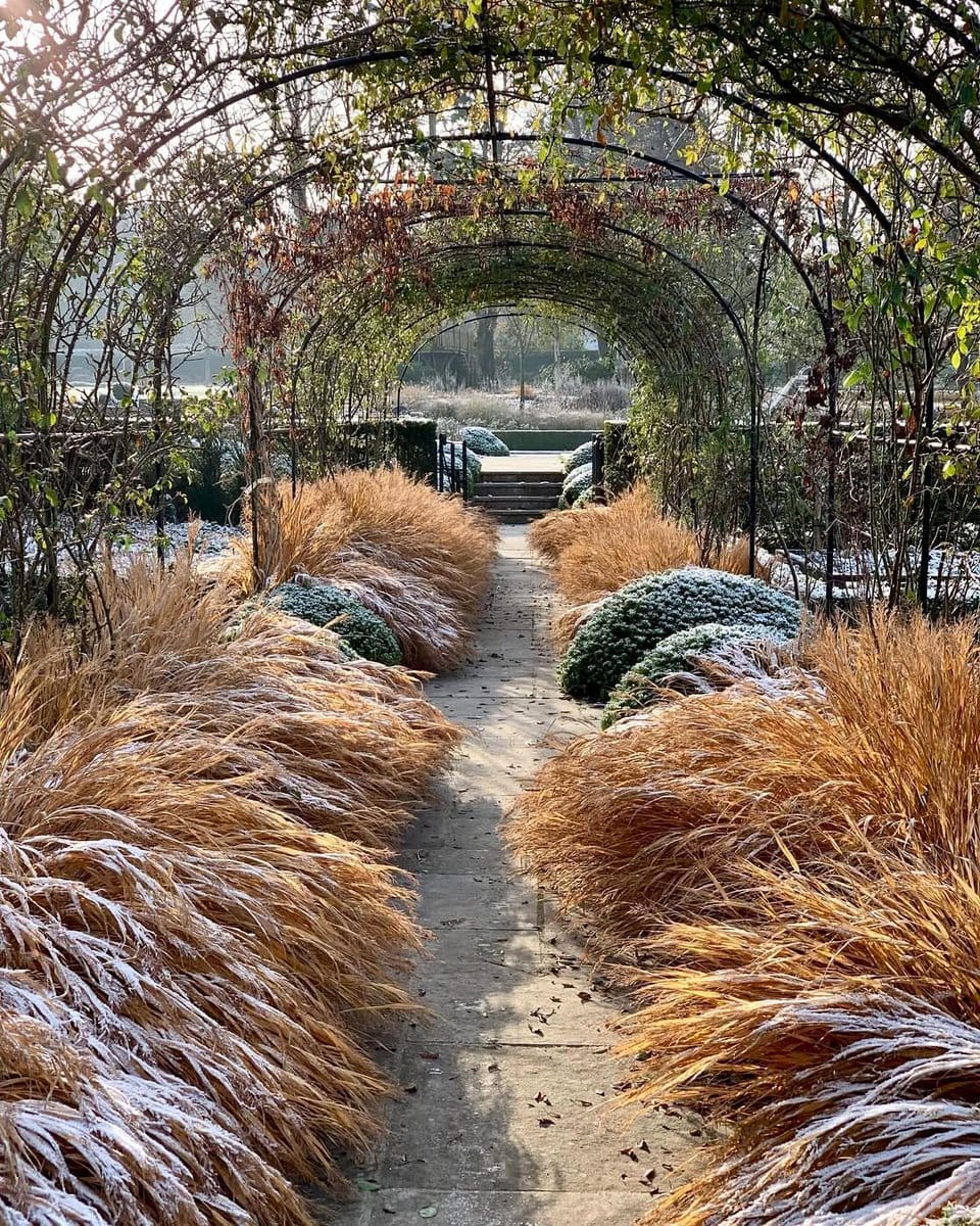 Minimalist garden with gravel paths and succulents