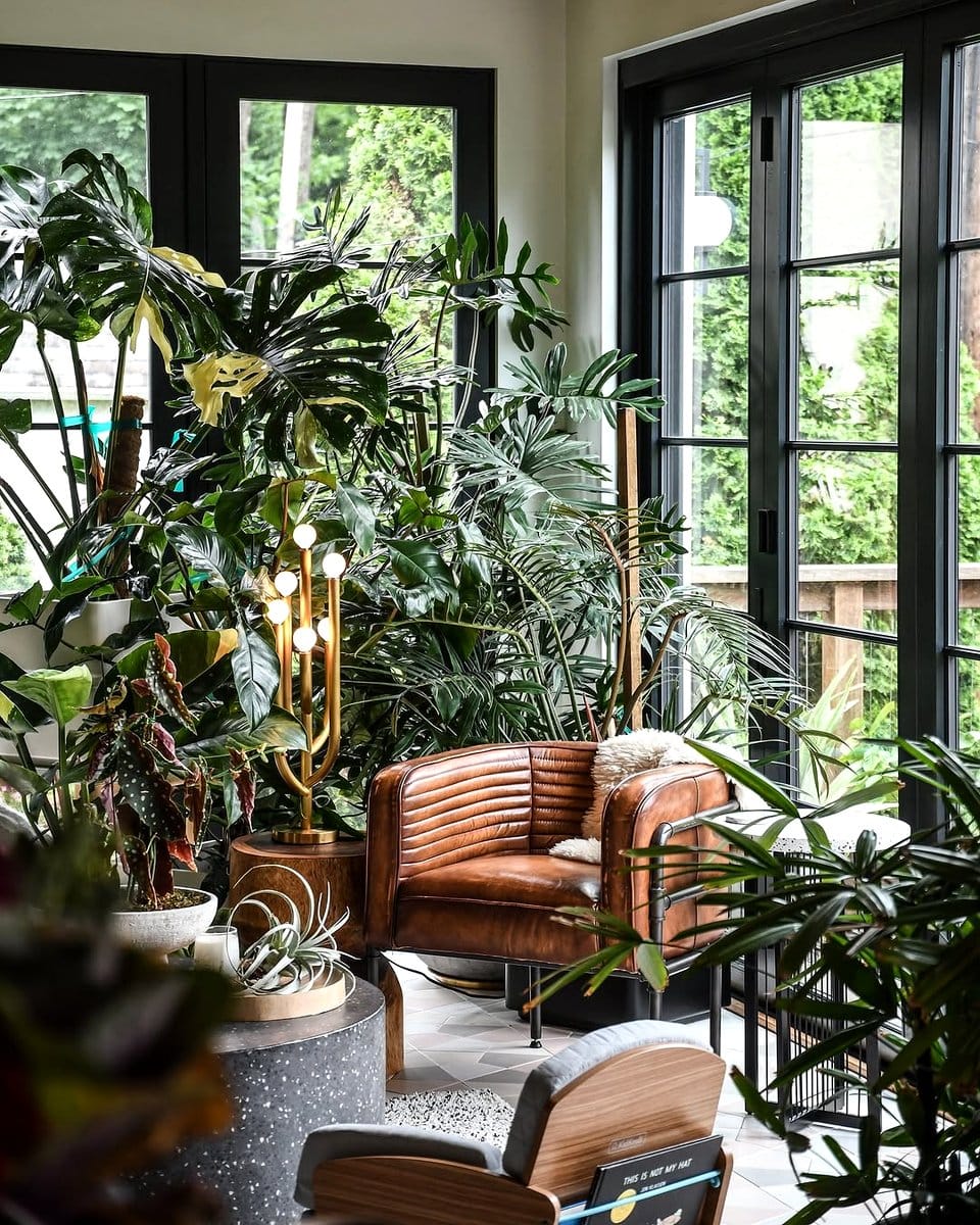 sunroom filled with plants