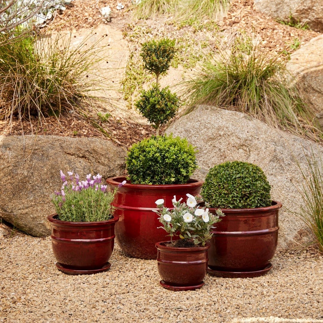Smooth beige terracotta bowl planters