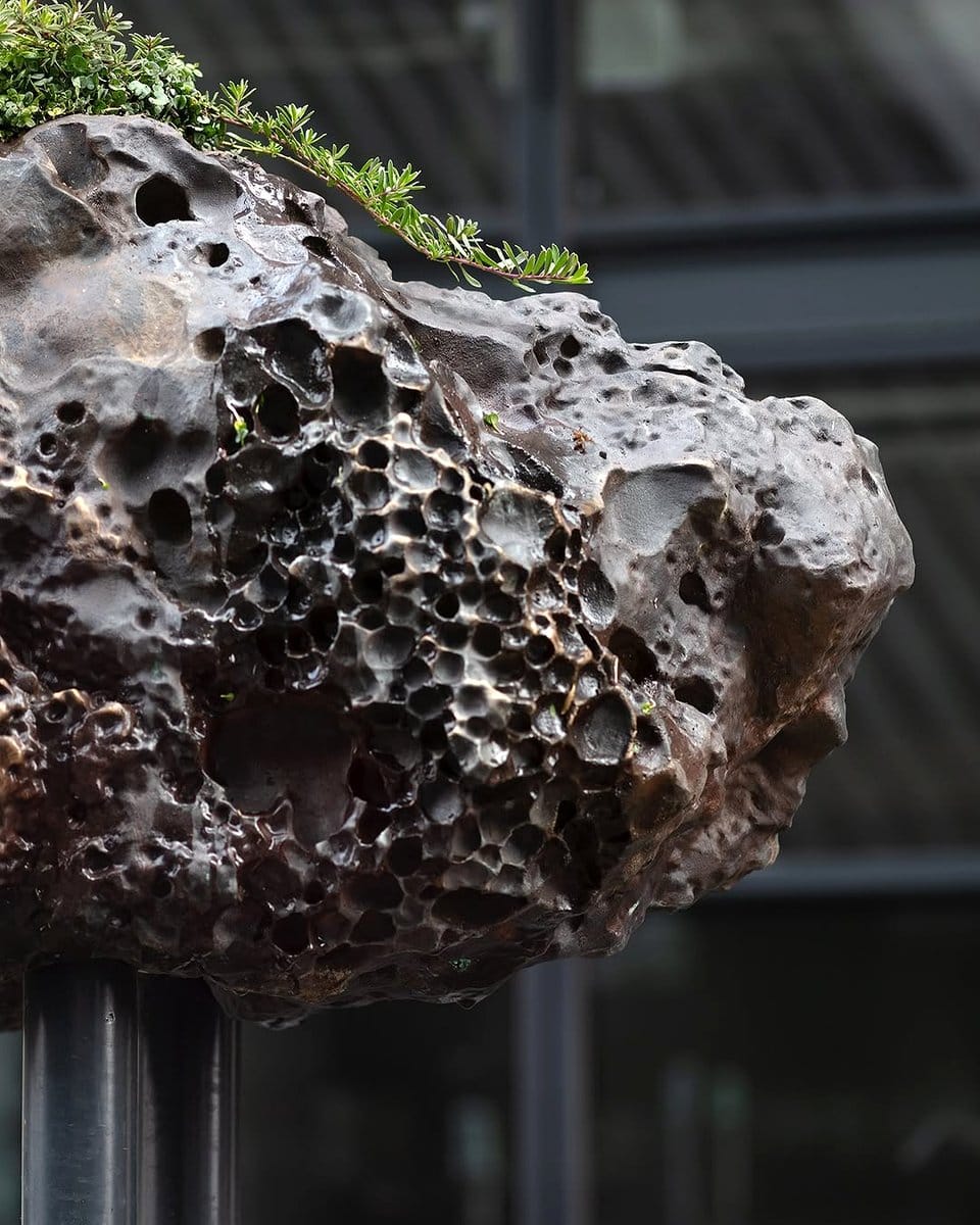 moss covering lava rock base