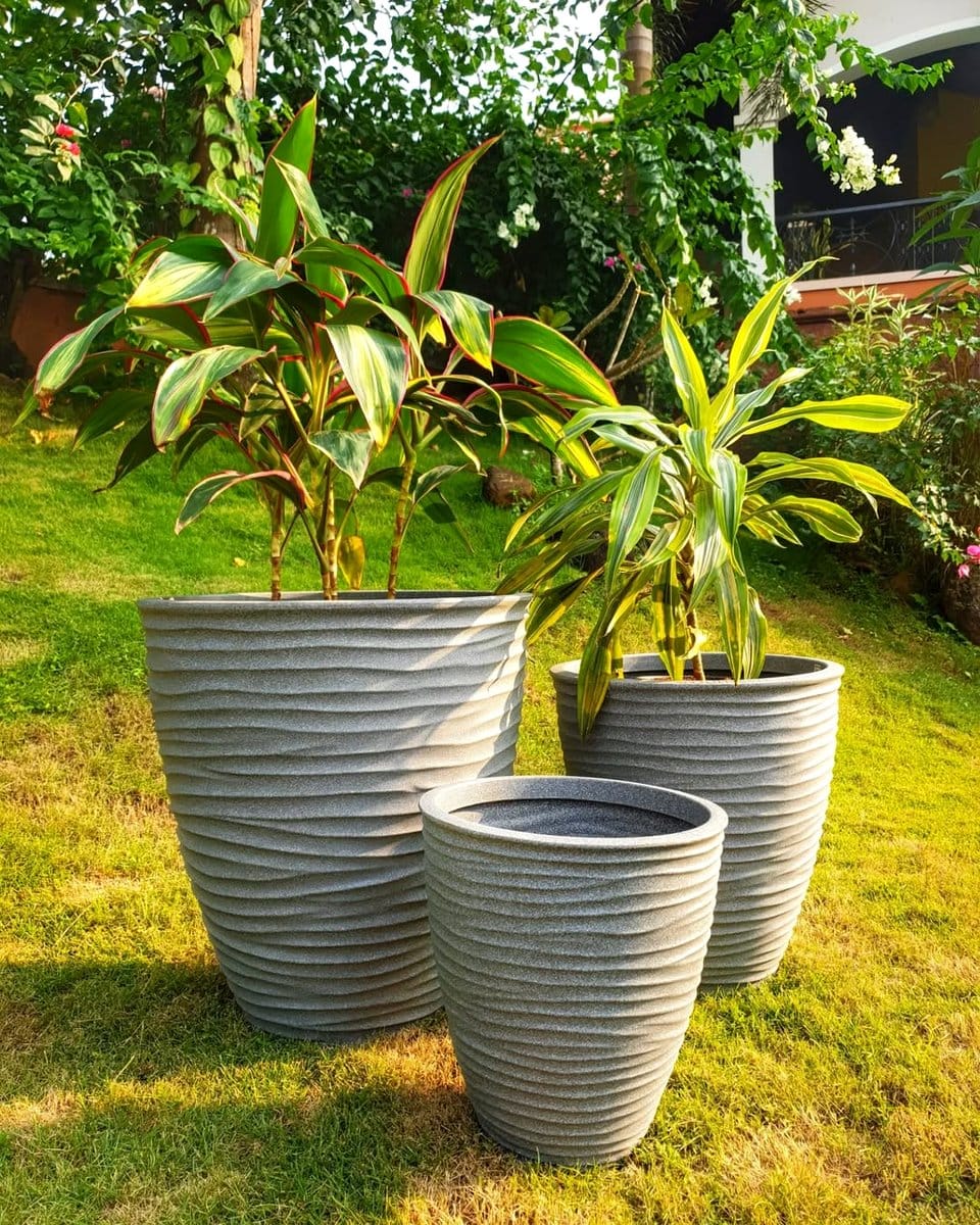 gray cement pots with ferns