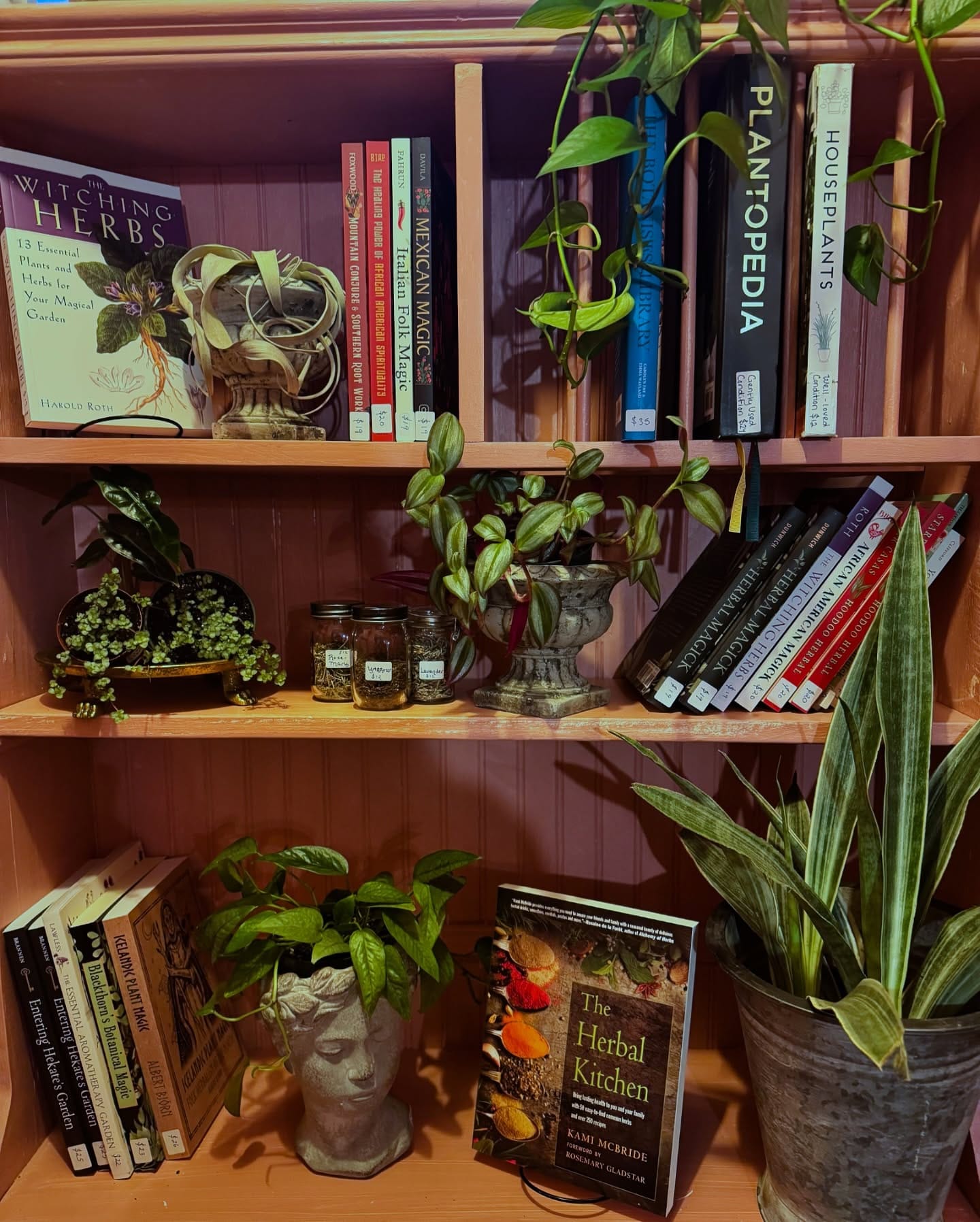 mini herb garden on shelf