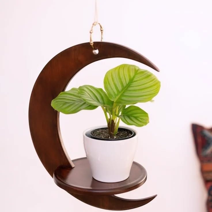 Welcoming entryway with wooden crate plant holder