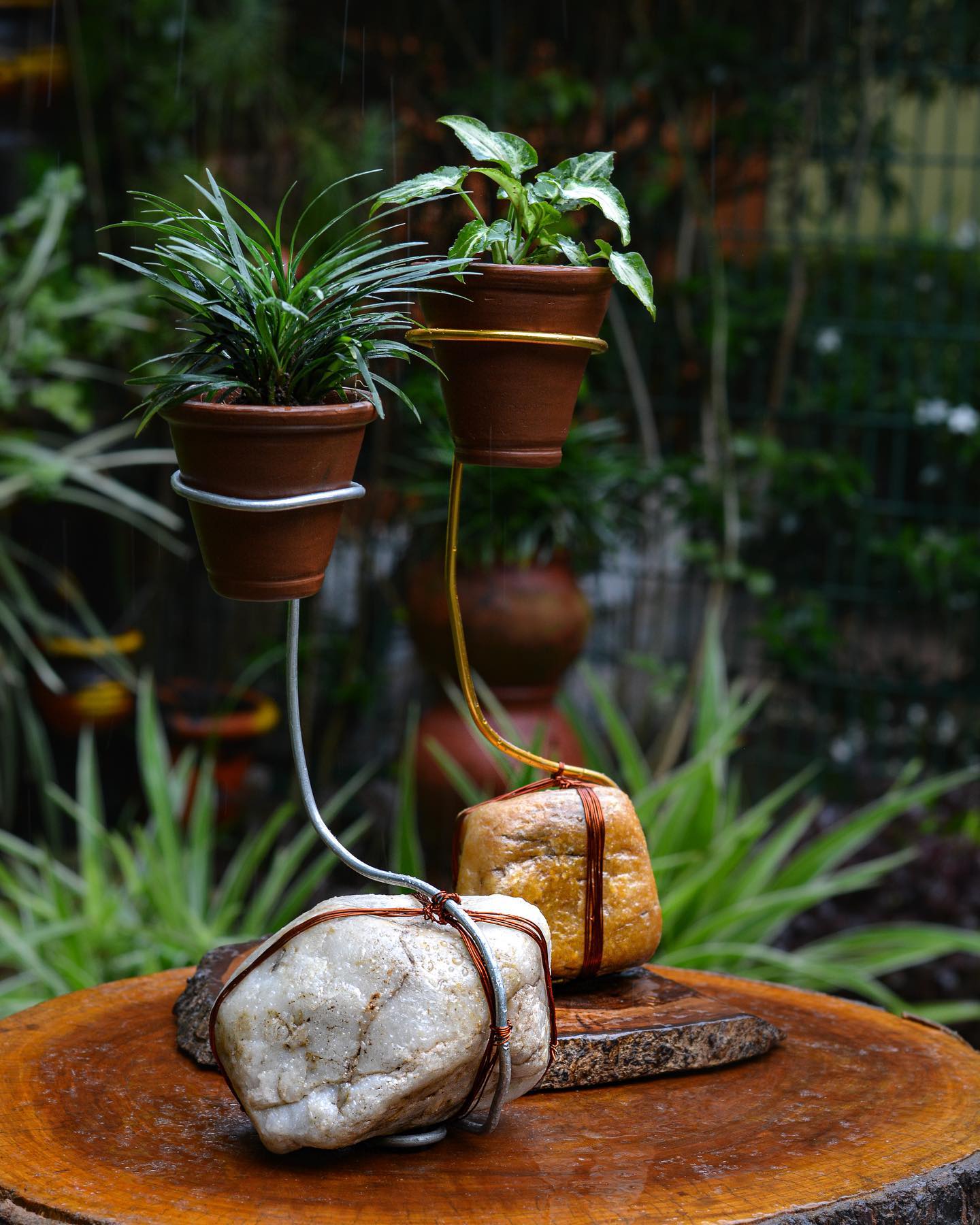 copper and terracotta planter in living room