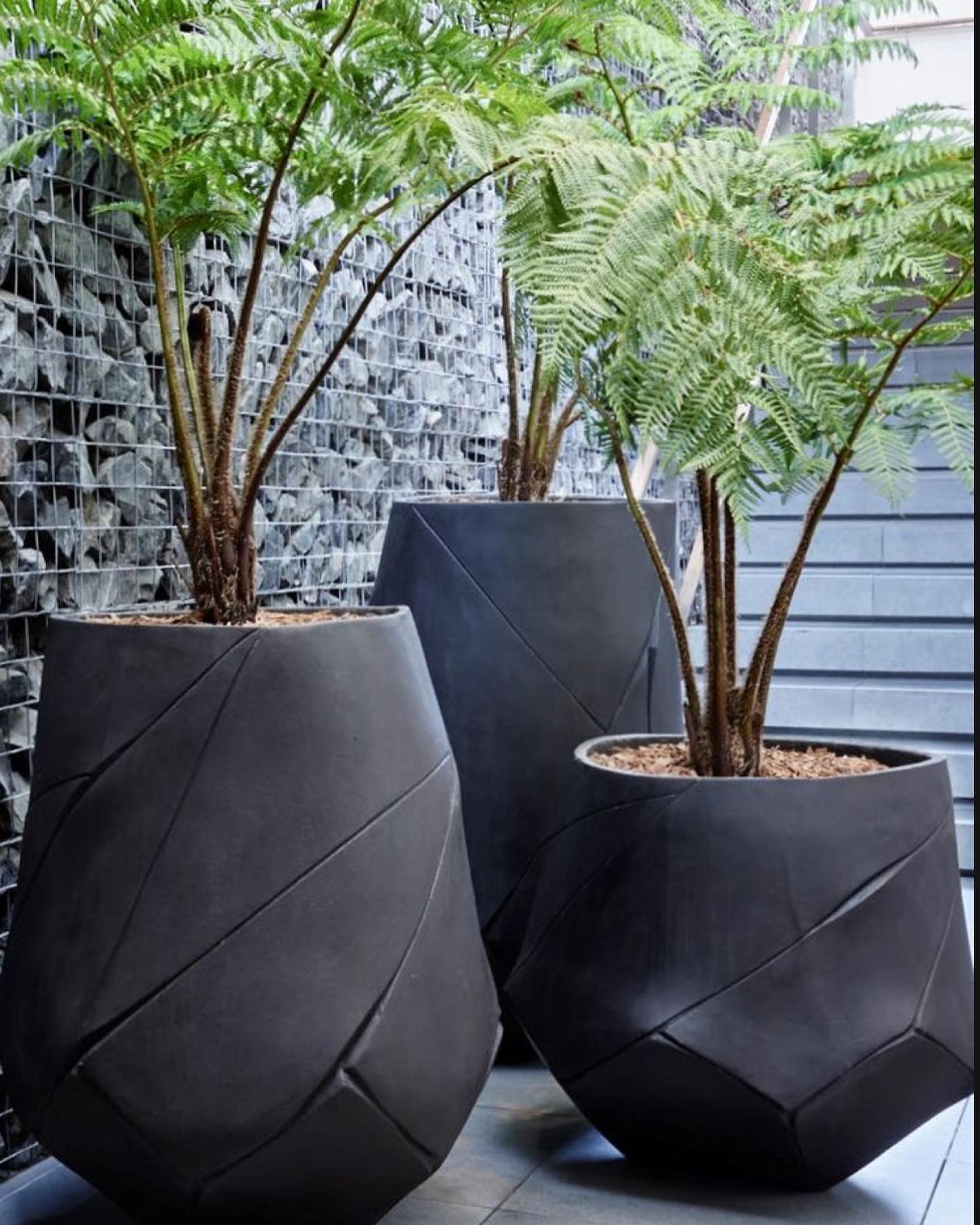 geometric fiberglass planter in office